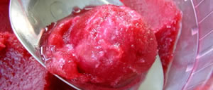 recette de sorbet