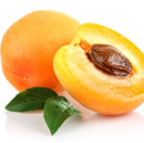 sorbet abricot